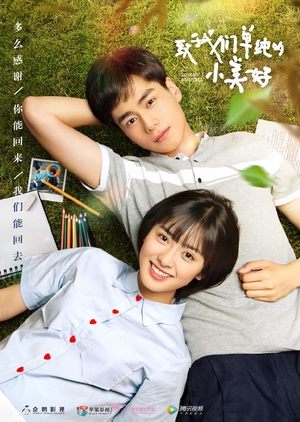 ดูหนังออนไลน์ฟรี A Love So Beautiful (2017) รักนี้ยังงดงาม